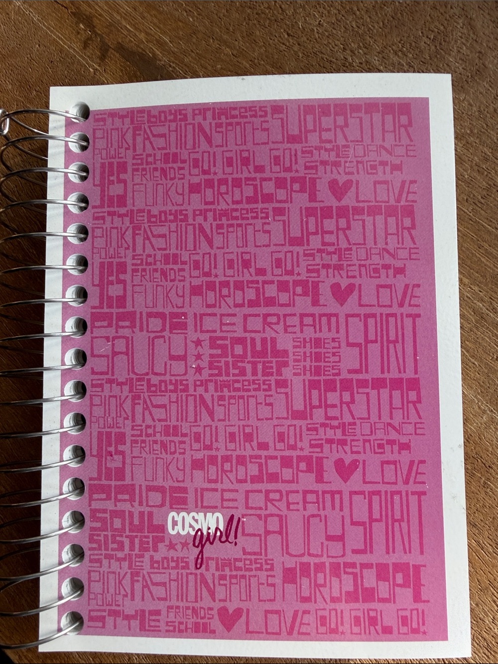 Vintage Y2K Fat Lil' Notebook Cosmopolitan Promo Mini Spiral COSMO GIRL Rare